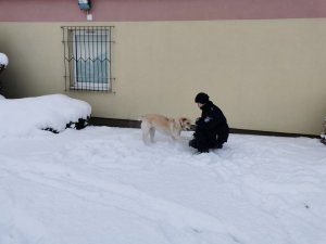 Dzielnicowy podczas zabawy z psem