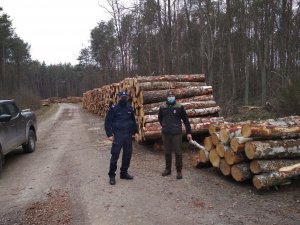 Policjant i strażnik leśny podczas wspólnych działań