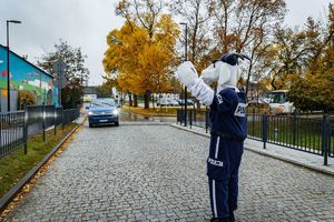 Bezpiecznie z Koziołkiem Matołkiem