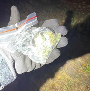 Zabezpieczone przez policjantów substancje