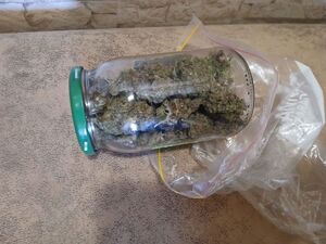 Susz zabezpieczony przez policjantów